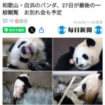 白浜のパンダ最後のお別れ
